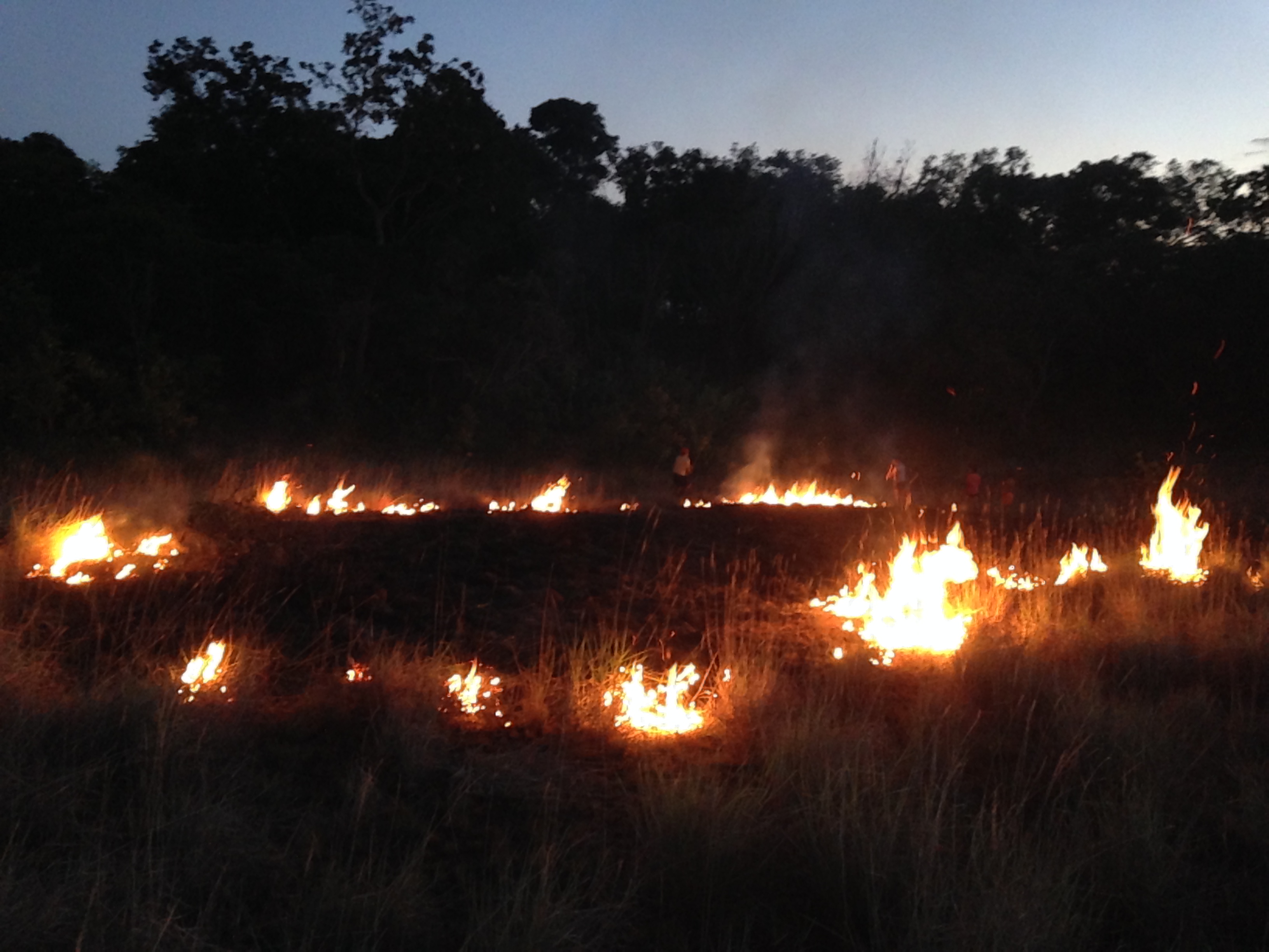 Indigenous fire management and protected areas in Guyana - Leverhulme ...