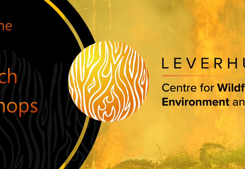 Upcoming – Leverhulme Wildfires Research Workshop – Exploring our time in Leverhulme Wildfires so far through participatory video (12 Apr 2024)
