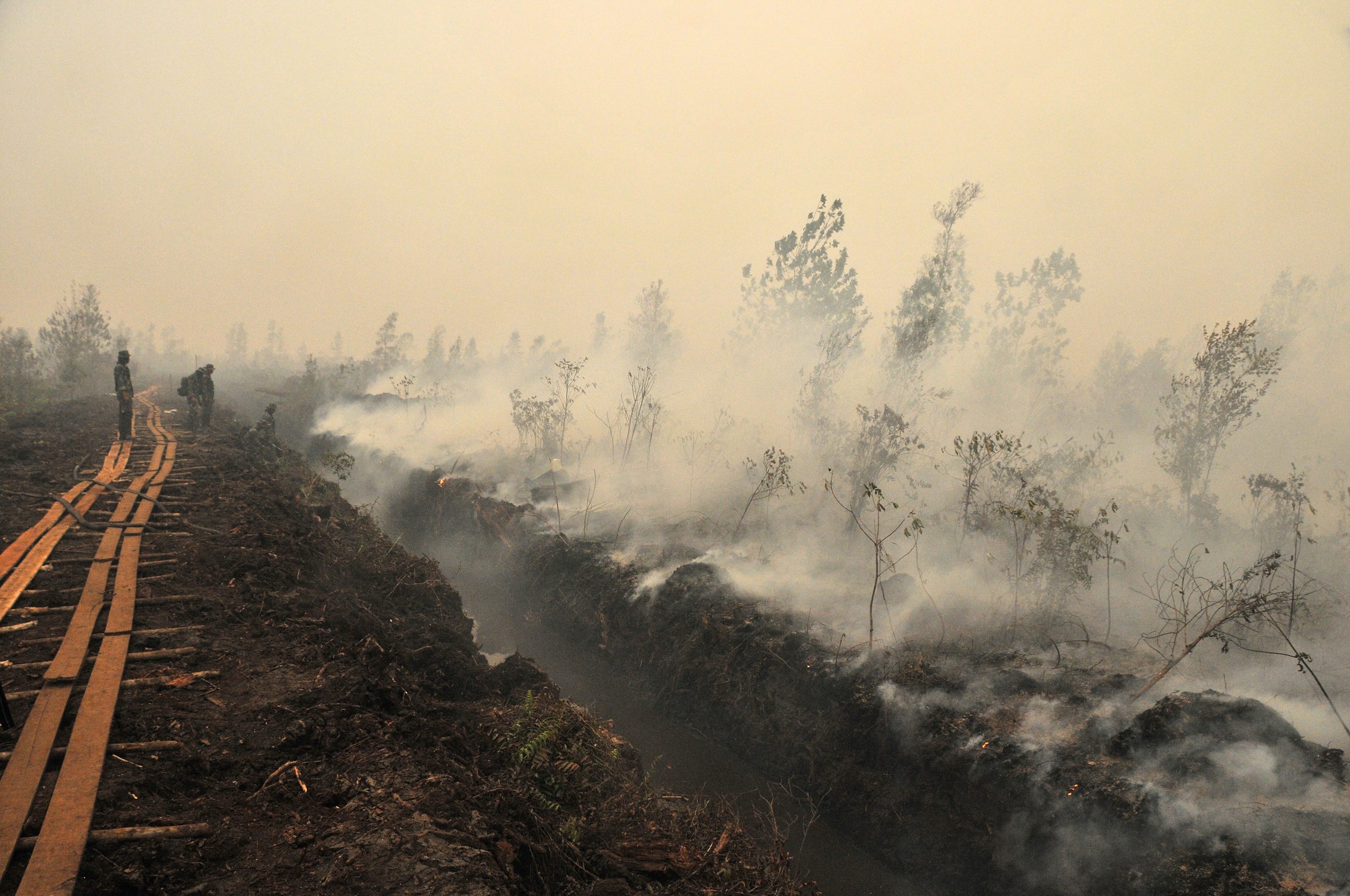 Tropical peat burning, Indonesia