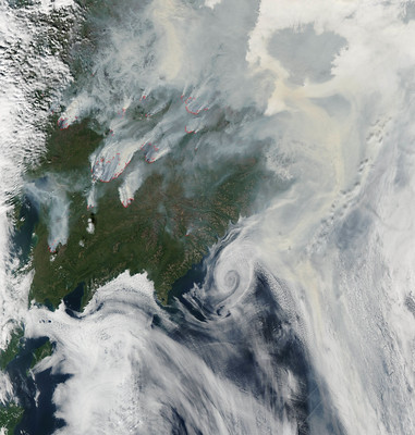 Wildfires as a Shared Arctic Variable