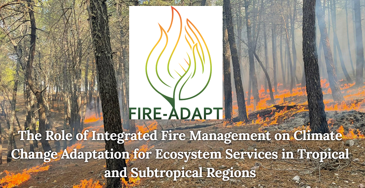 New FIRE-ADAPT project investigates how integrated fire management contributes to biodiversity, carbon, and cultural values