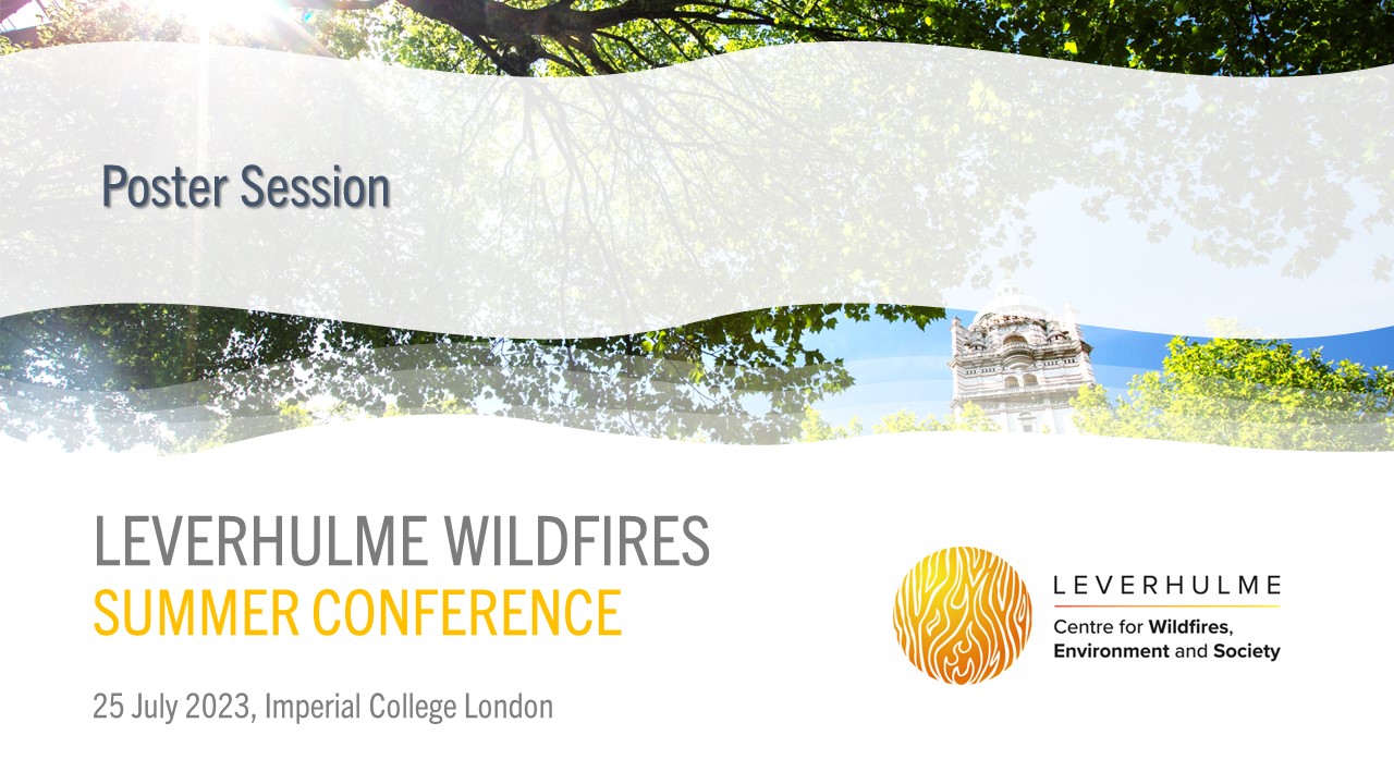 Leverhulme Wildfires Poster Session 2023
