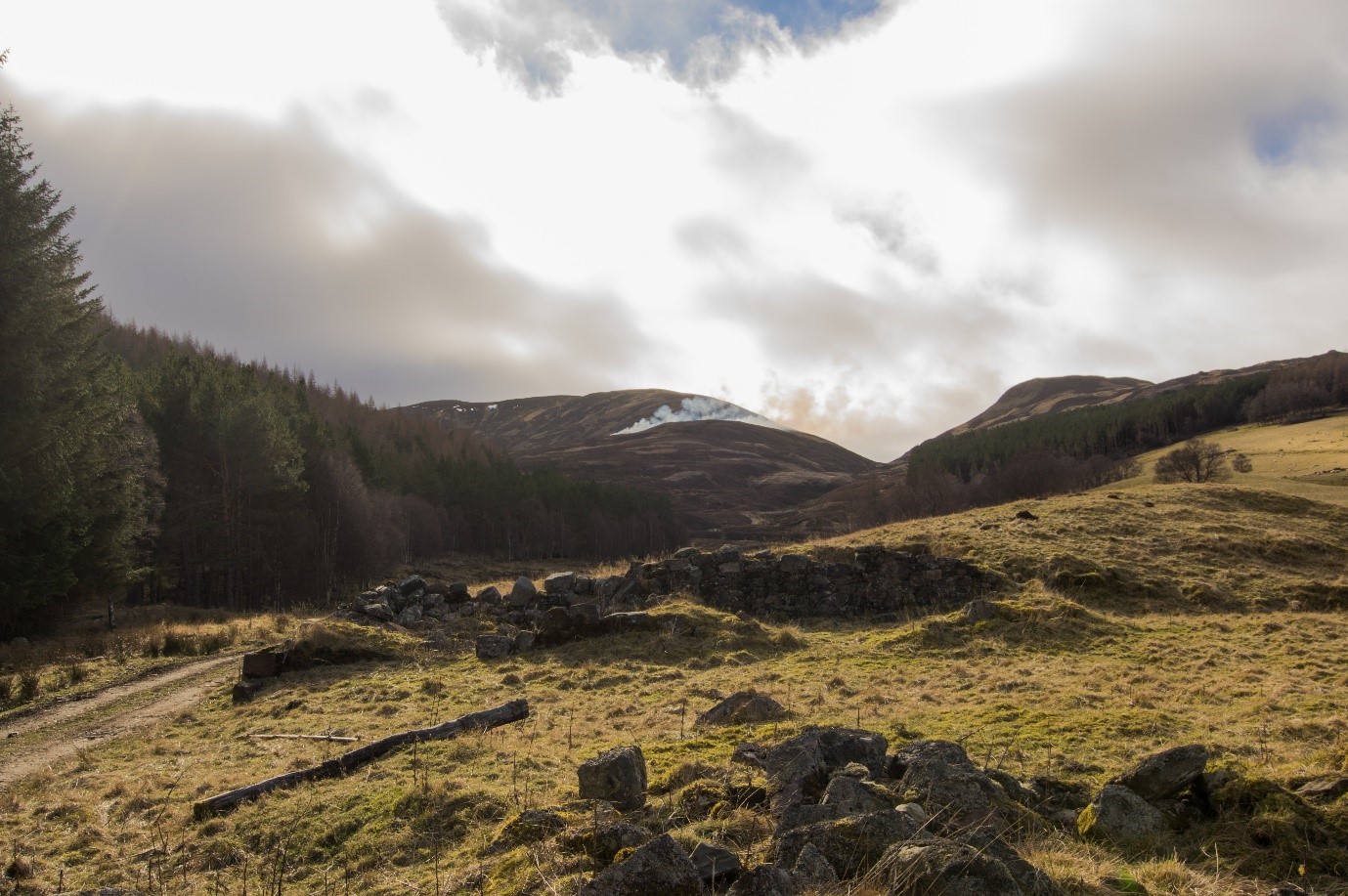 Fires in the Scottish Uplands and their future impacts on ecosystem services