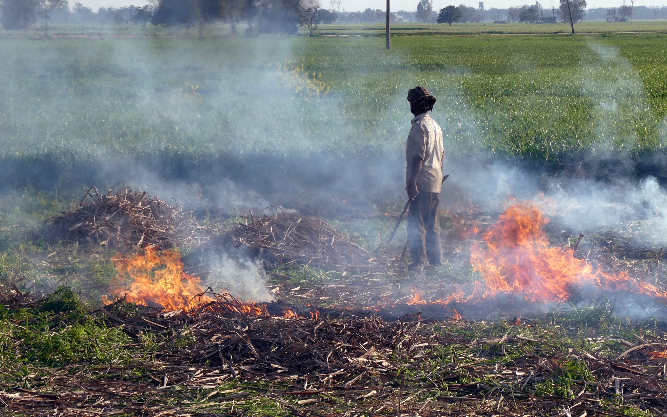 Photo1-Crop-residue-burning-in-the-Punjab-India-2020-scaled