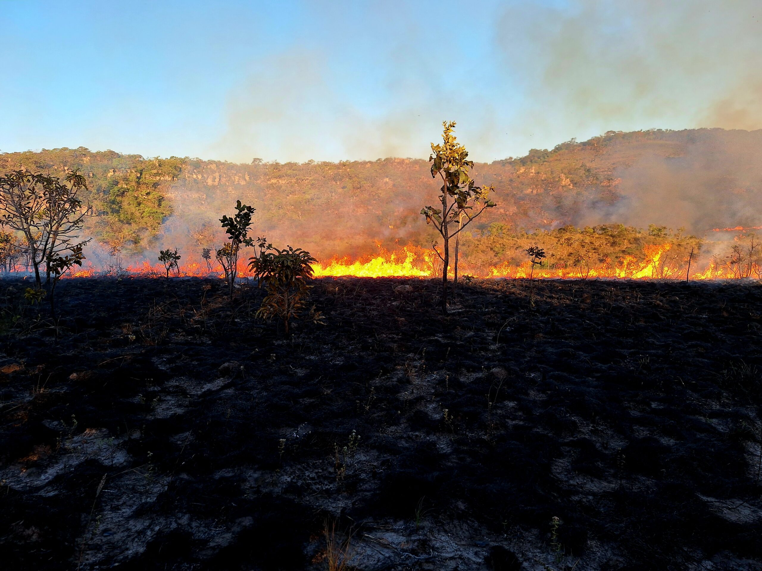 The global drivers of wildfire: connecting empirical evidence to modelling practices