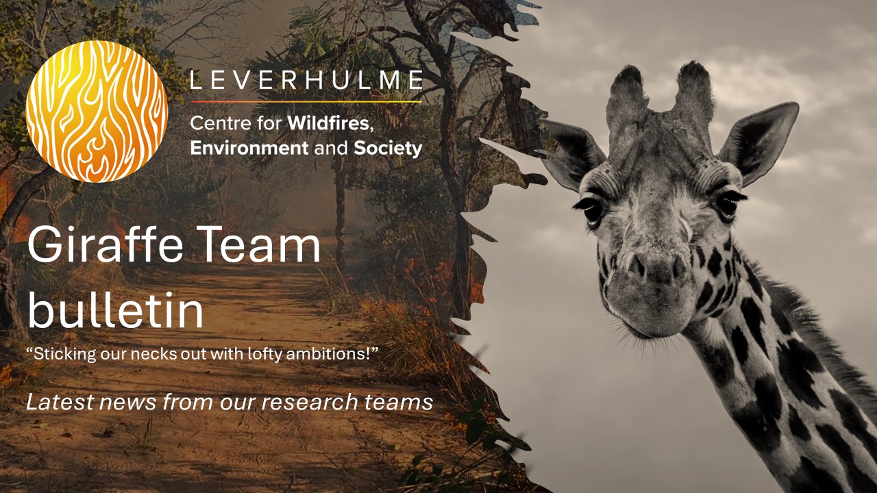 Giraffe Team Bulletin – latest from the new Leverhulme Wildfires research teams. No.1