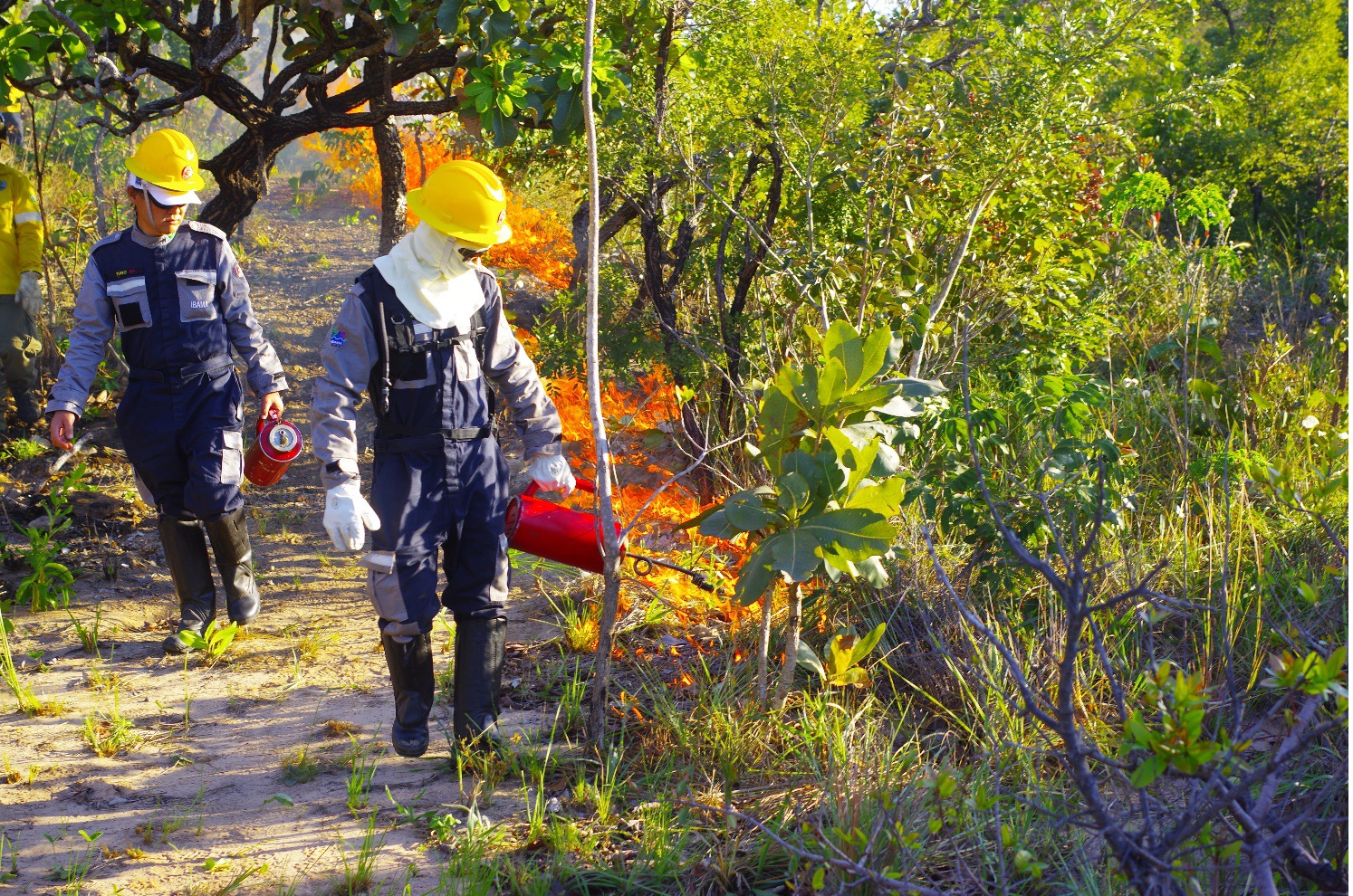 Living with fire: adapting to changing wildfires risks in the Brazilian Amazon