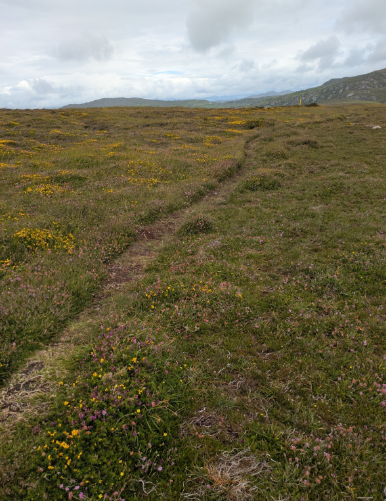 Fires, farming and the Irish uplands