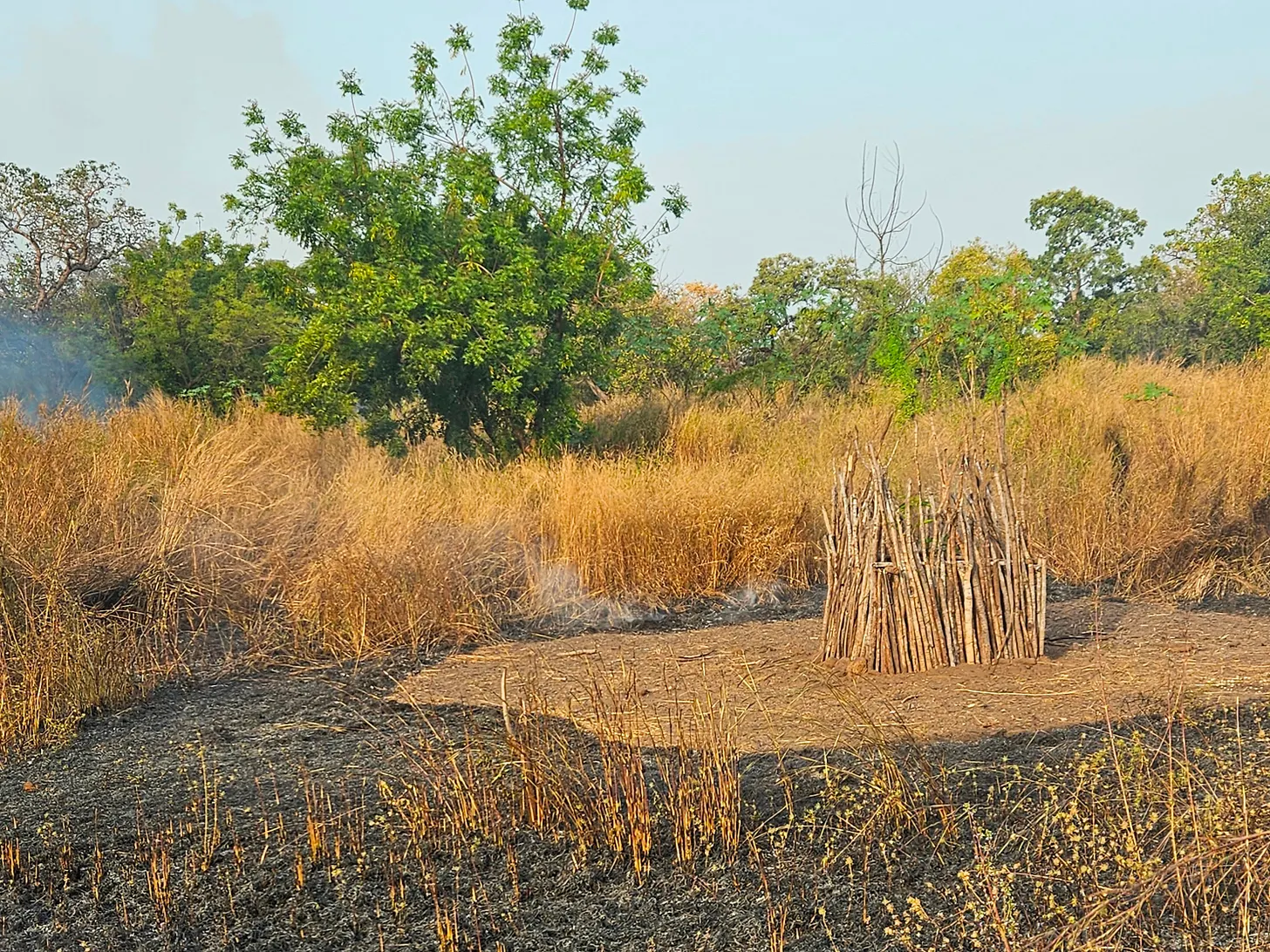 Fire, Power and the Burning Savanna
