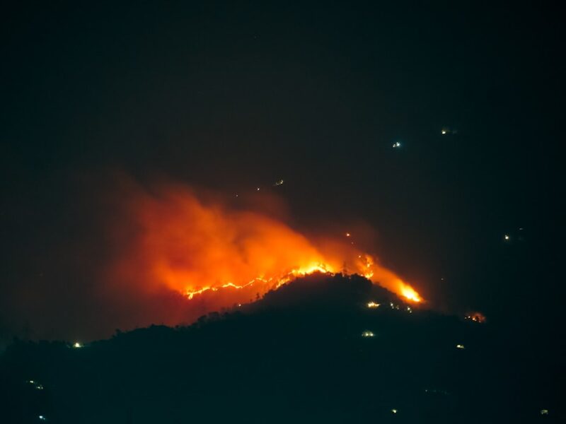 Why India Keeps Fighting the Fires Its Forests Need