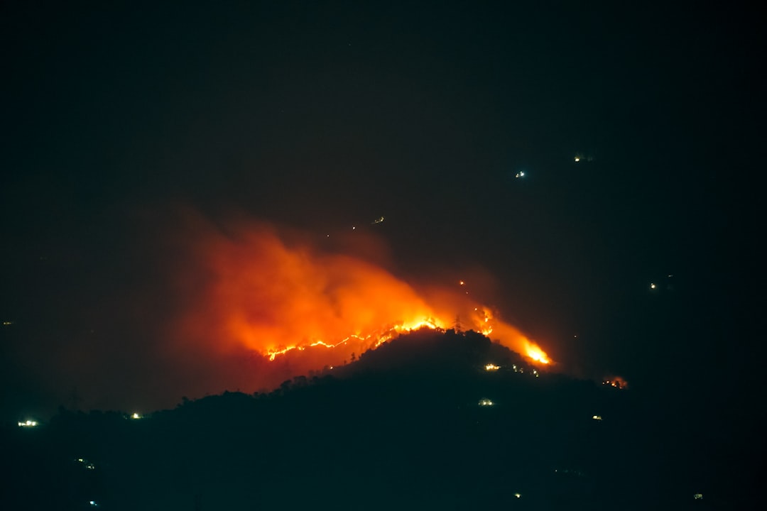 Why India Keeps Fighting the Fires Its Forests Need