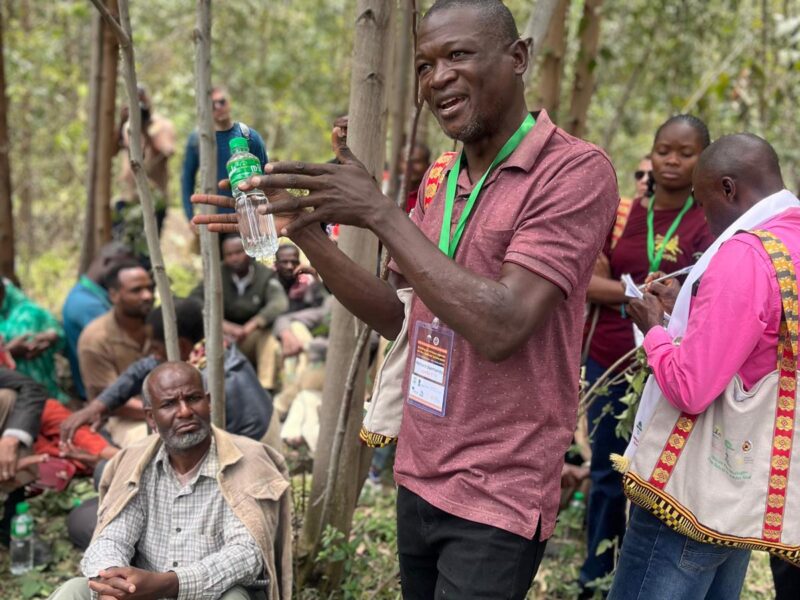 People, knowledge and fire: Reflections from the African Fire Dialogue